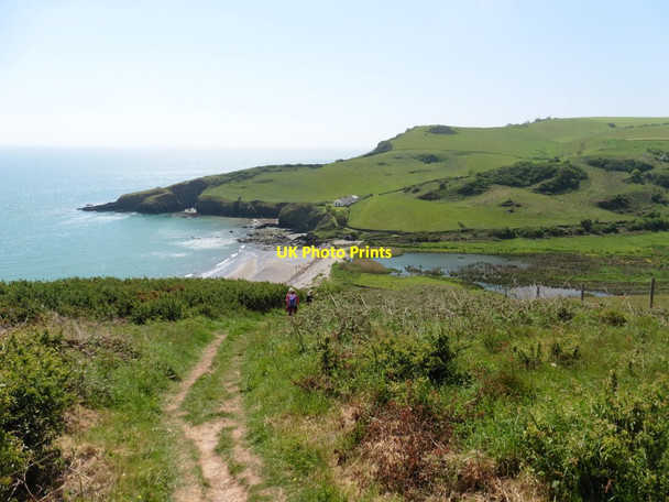 Photo 6"x4" Looking down towards Man Sands Brixham c2017