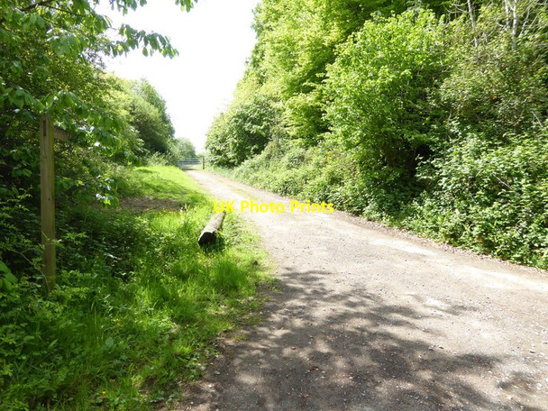 Photo 6"x4" Footpath goes west from Farnham Road Petersfield c2017