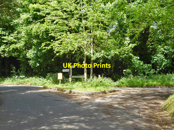 Photo 6"x4" Junction of Hill Farm Lane and Lord Mead Lane Ayot St Lawrence c2017