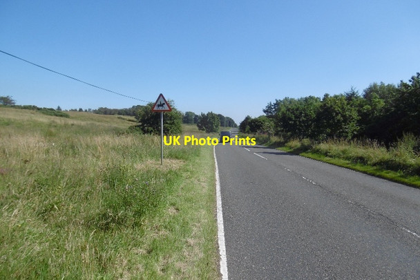 Photo 6"x4" Stockiemuir Road Dumgoyne\/NS5283 c2016