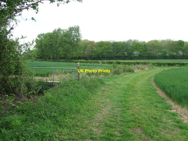 Photo 6"x4" Footpath And Footbridge Hawkin's Hill c2017