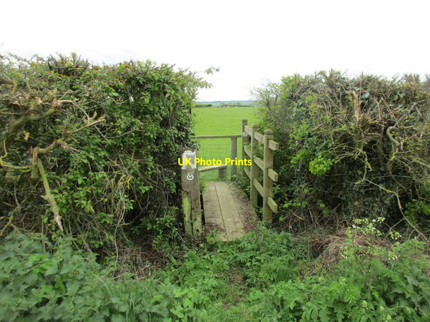 Photo 6"x4" Stile and footpath towards Preston Capes Farthingstone c2017