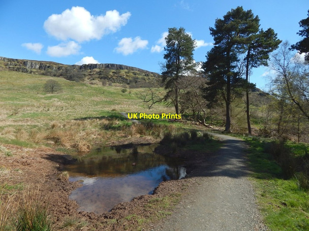 Photo 6"x4" Path in Lang Craigs Woodland Dumbarton c2017