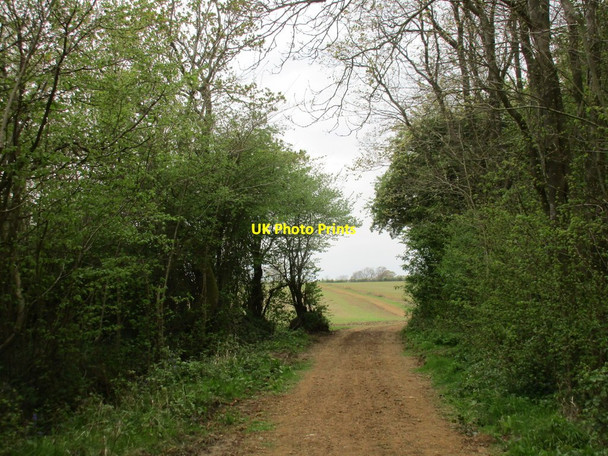 Photo 6"x4" Byway to Banbury Lane and Moreton Pinkney Plumpton\/SP5948 c2017