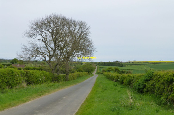 Photo 6"x4" Agricultural view  Bowsden c2017