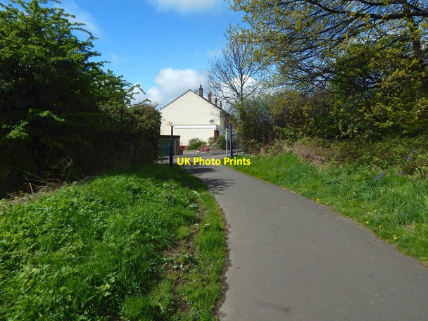 Photo 6"x4" Cycle path approaching the road Dumbarton c2017