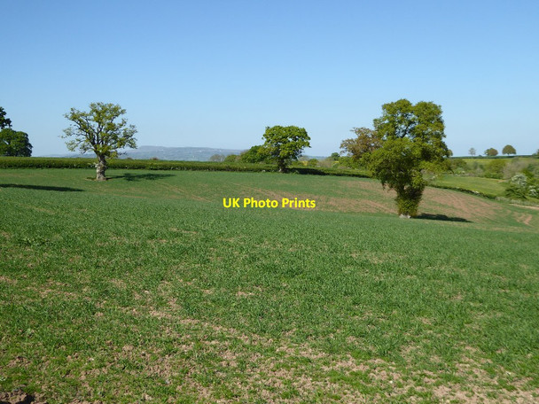 Photo 6"x4" Arable field above Upton Brook Stony Cross\/SO5466 c2017