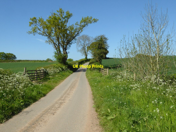 Photo 6"x4" No through road at Middleton on the Hill Middleton on the Hill c2017