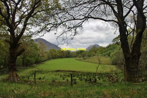 Photo 6"x4" Sheltered field in Glen Strae Stronmilchan c2017