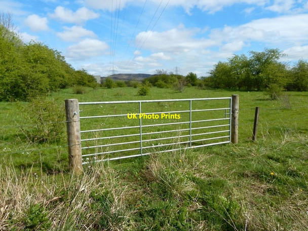 Photo 6"x4" Field gate at Kilmalid Dumbarton c2017