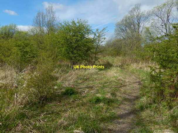 Photo 6"x4" Path near the River Leven Dumbarton c2017