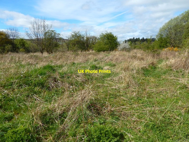 Photo 6"x4" Rough ground near the River Leven Dumbarton c2017