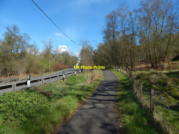 Photo 6"x4" Cycle path beside Bannachra Woods Craigendoran c2017