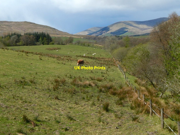Photo 6"x4" Field boundary Helensburgh c2017