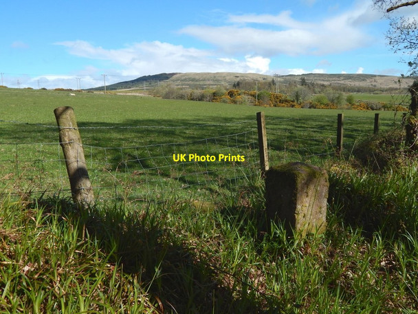 Photo 6"x4" Field boundary beside Garrawy Glen Helensburgh c2017