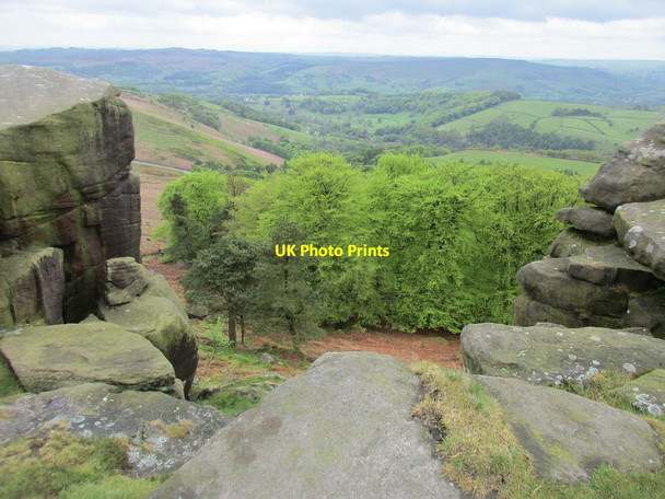 Photo 6"x4" View into Stanage Plantation Hathersage c2017