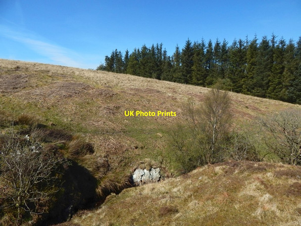 Photo 6"x4" The course of a burn Shandon\/NS2586 c2017 P1