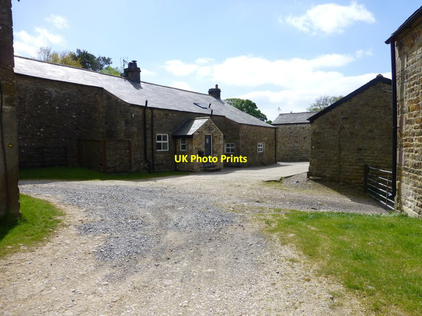 Photo 6"x4" Dinkling Green farmyard Fair Oak\/SD6446 c2017