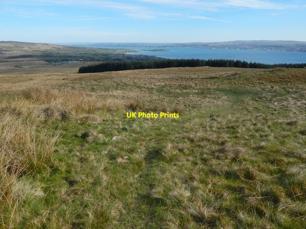 Photo 6"x4" Path from Tom na h-Airidh Helensburgh c2017