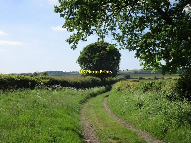 Photo 6"x4" Moor Lane Caunton c2017