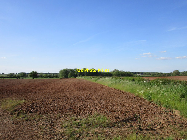 Photo 6"x4" Field boundary near Springs Farm Ossington c2017