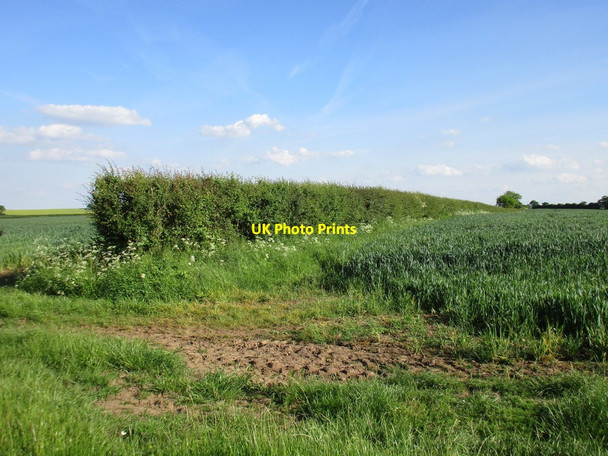 Photo 6"x4" Field boundary near Broadwaters Farm Norwell Woodhouse c2017