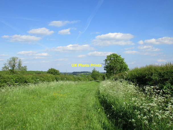 Photo 6"x4" Moor Lane Caunton c2017