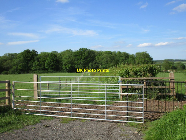 Photo 6"x4" Track of many gates Caunton c2017