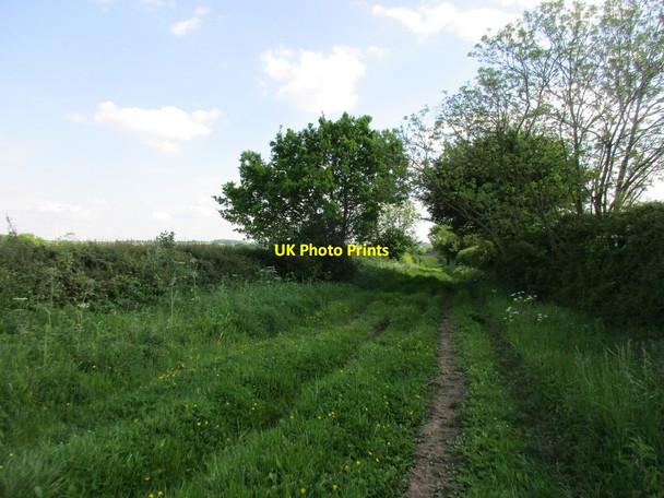 Photo 6"x4" Moor Lane Caunton c2017