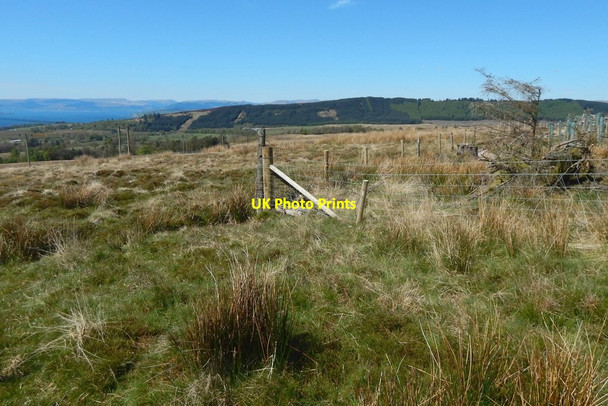 Photo 6"x4" The corner of a fence Renton c2017