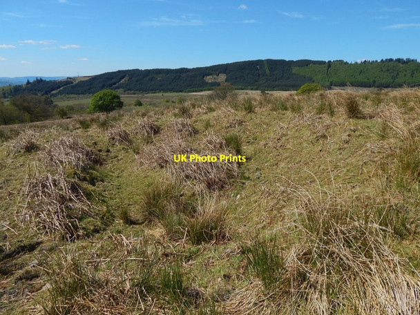Photo 6"x4" Old quarry pit Arden\/NS3684 c2017