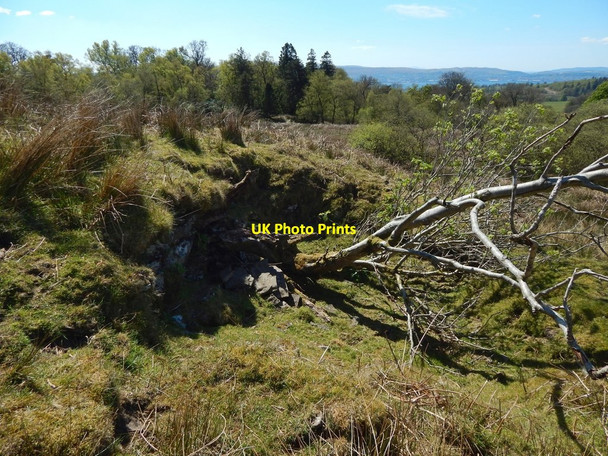 Photo 6"x4" Old quarry pit Arden\/NS3684 c2017 P1