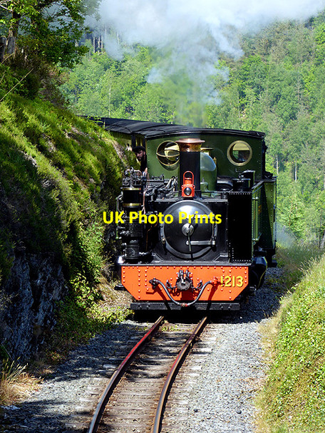 Photo 6"x4" A Vale of Rheidol Railway train heading for Devil's Bridge Devil's Bridge\/Pontarfynach c2017