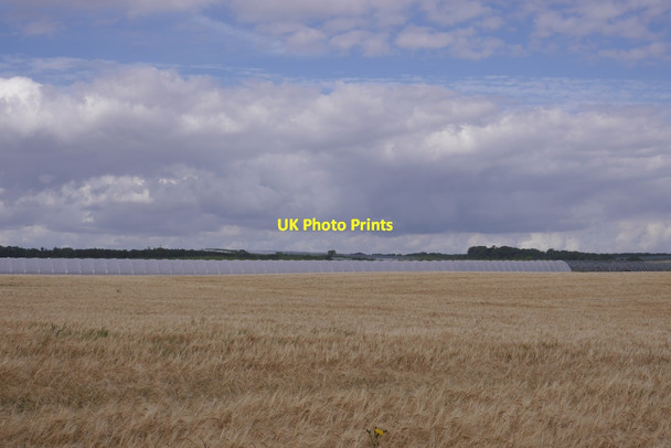 Photo 6"x4" Arable land, Seaton Arbroath c2016