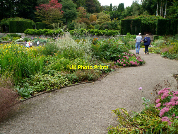 Photo 6"x4" Castle Drogo ,garden Drewsteignton c2013