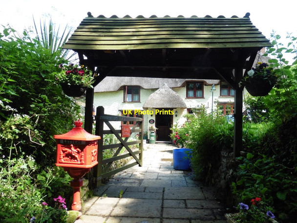 Photo 6"x4" Furzey Cottage Rawridge c2017