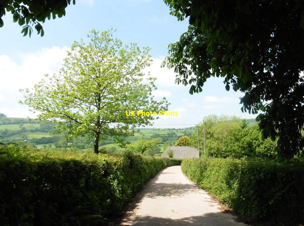 Photo 6"x4" Track to Yard Farm Monkton\/ST1803 c2017