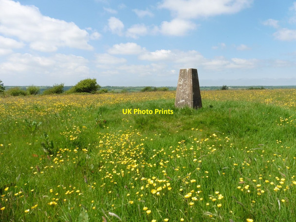 Photo 6"x4" Trig point on Dumpdon Hill Beacon\/ST1705 c2017