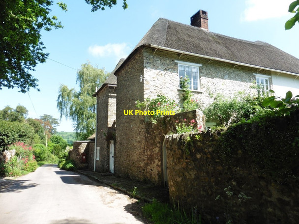Photo 6"x4" Houses at Broadhayes Ham\/ST2301 c2017
