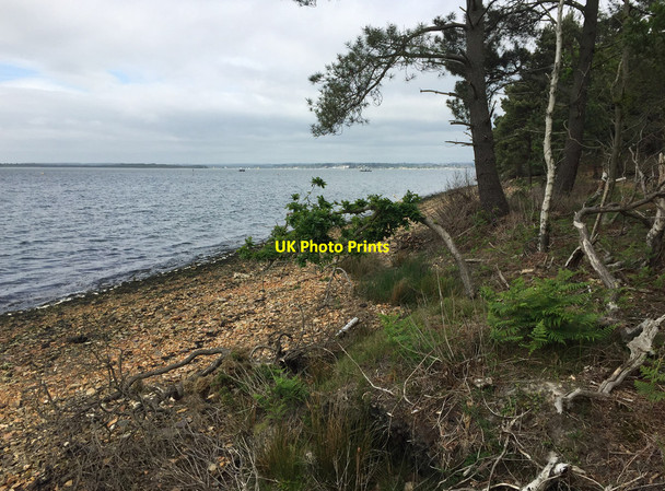 Photo 6"x4" South-west coast of Brownsea Island Sandbanks c2017