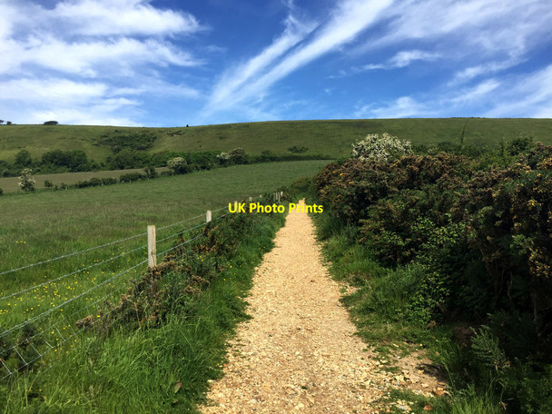 Photo 6"x4" South West Coast Path approaching Ballard Down Swanage c2017