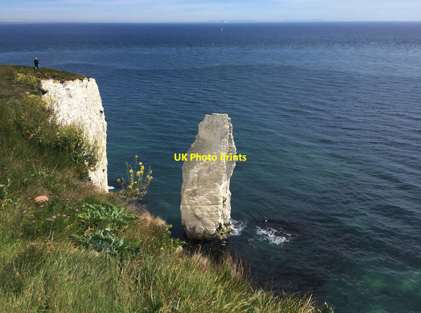 Photo 6"x4" Southernmost of the pinnacles at Handfast Point Studland c2017