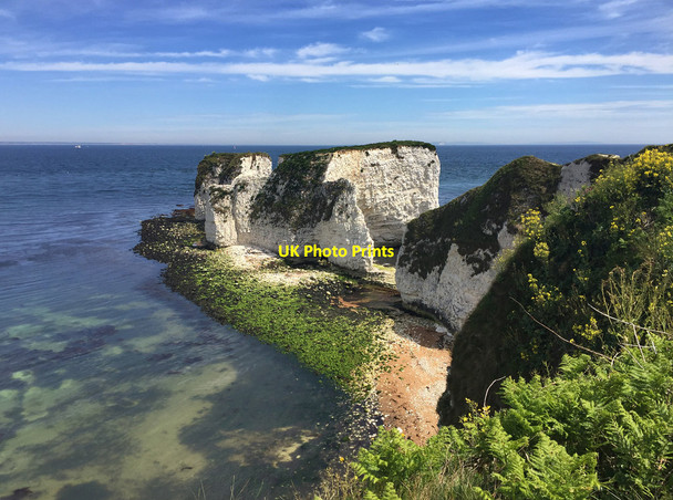 Photo 6"x4" Old Harry Rocks, Handfast Point Studland c2017 P1