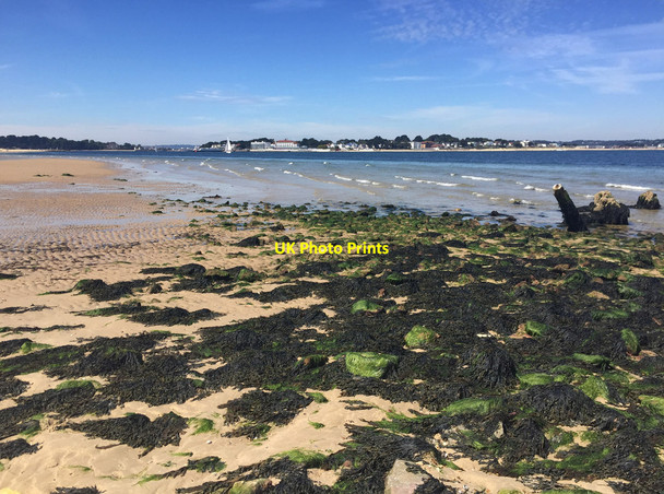 Photo 6"x4" East end of Shell Bay Sandbanks c2017