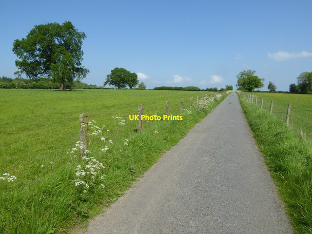 Photo 6"x4" Country road to the south of Grafton Bockleton c2017