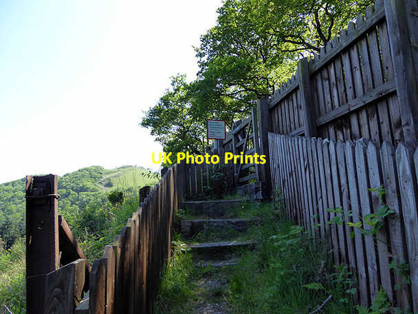 Photo 6"x4" Steps leading to the Tynycastell foot crossing, Vale of Rheidol Railway Devil's Bridge\/Pontarfynach c2017