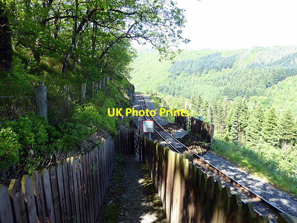 Photo 6"x4" Looking down to the Tynycastell foot crossing, Vale of Rheidol Railway Devil's Bridge\/Pontarfynach c2017