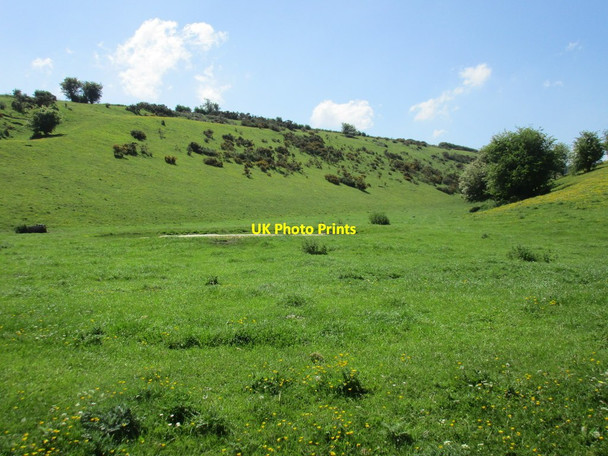 Photo 6"x4" Cow Dale Sledmere c2017