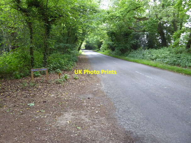 Photo 6"x4" Looking downhill on Birchgrove Road from Holly Lodge Birchgrove\/TQ4029 c2017