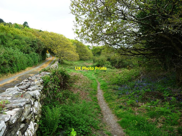 Photo 6"x4" Public footpath to the coast Porthmadog c2017